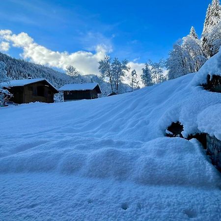 Chalet Birdie Le Grand-Bornand Exterior foto